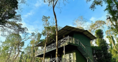 Machaan Plantation Resort, Sakleshpur: The Perfect Destination for Corporate Outings